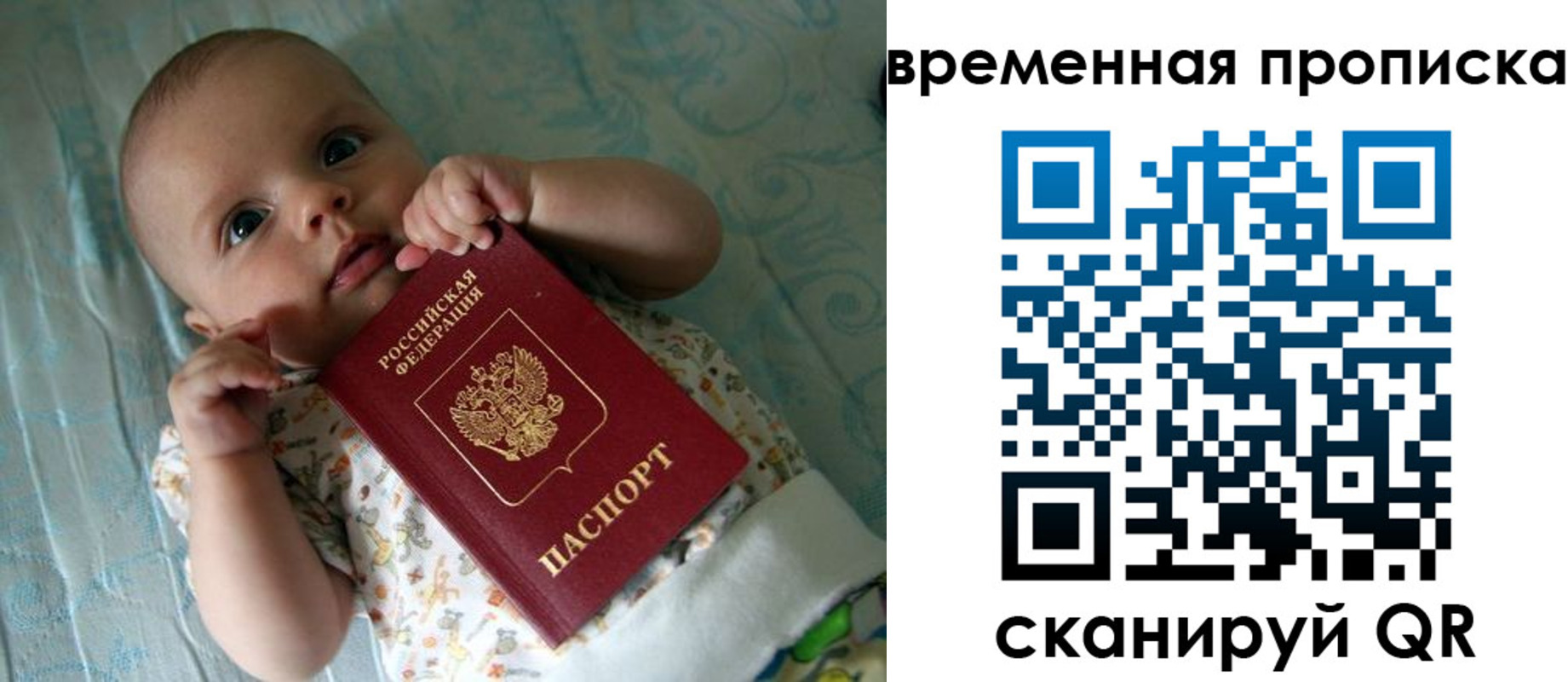 найти адрес прописки в Светлограде