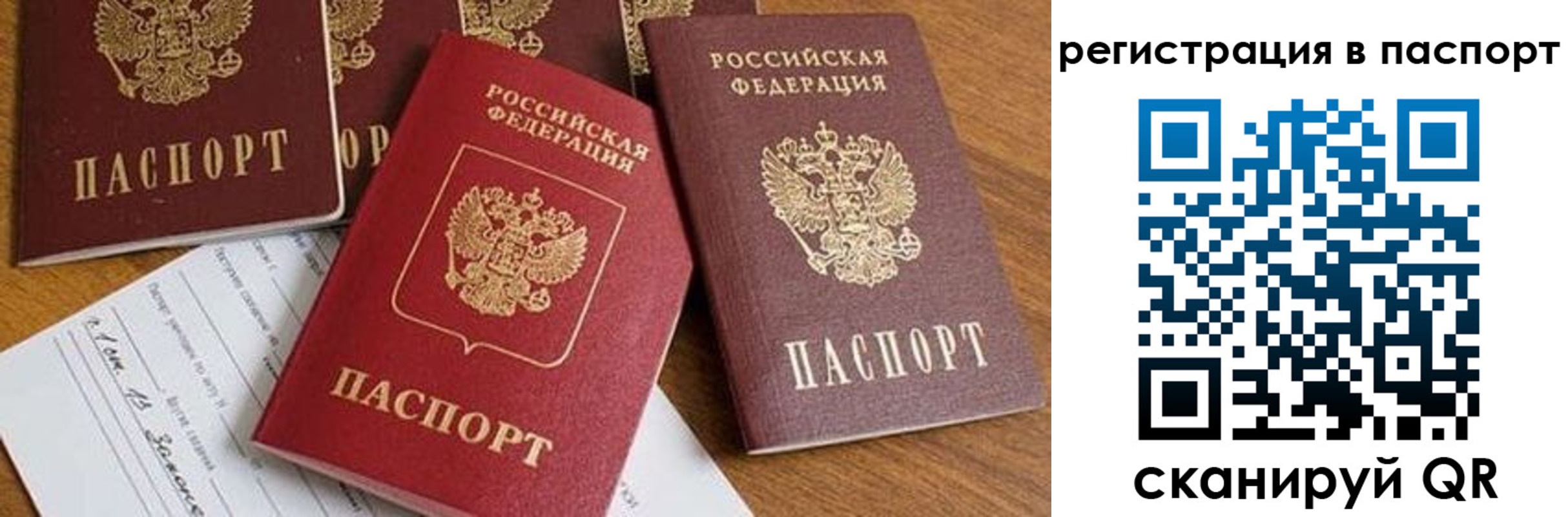 прописка в Светлограде